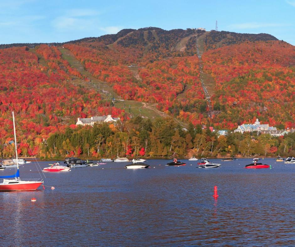 Amazing Lakemountain View 5Min To Tremblant 491 Монт-Тремблант Екстериор снимка